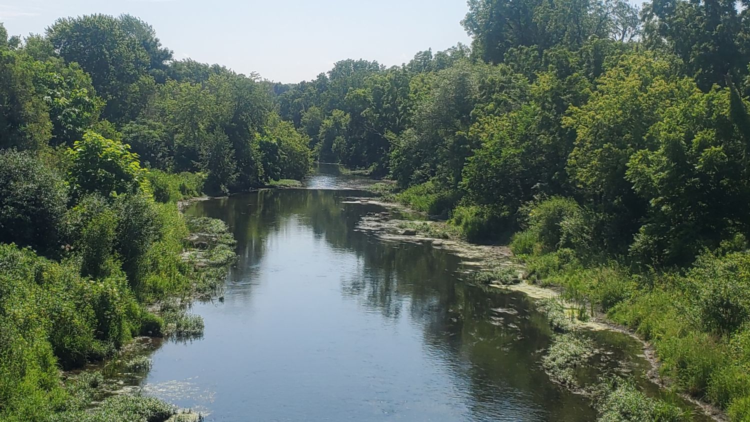 Warrenville Grove Forest Preserve 